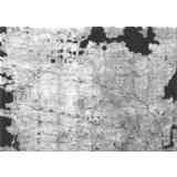 Papiro Artemidoro 02 -  El famoso mapa... mudo